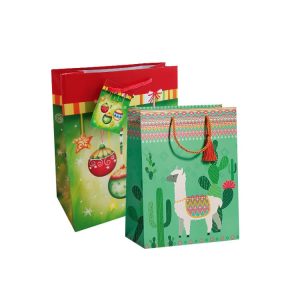 cusotm paper shopping gift bags supplier